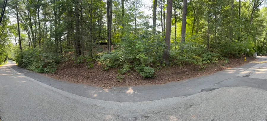 Weston Ivy League: cleared roadside and stone wall after poison ivy removal